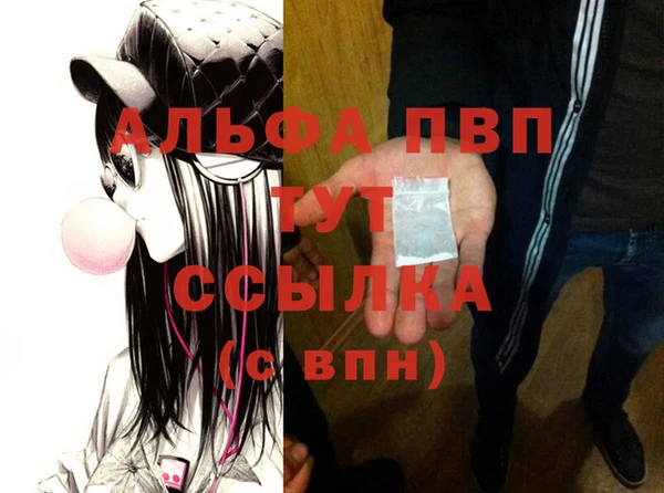 стаф Белокуриха