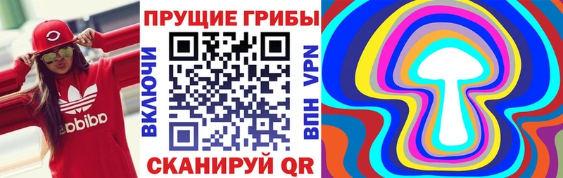 Галлюциногенные грибы Magic Shrooms  как найти закладки  Нея 